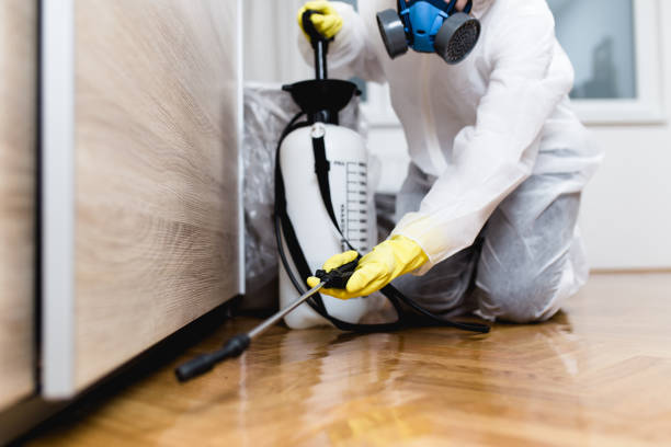 Best Mosquito Control Services  in Holcom, KS
