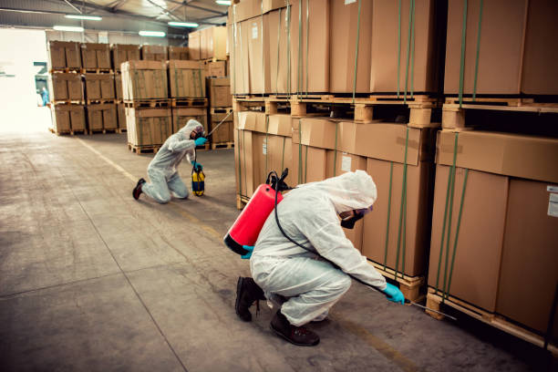 Best Emergency Pest Control  in Holcom, KS