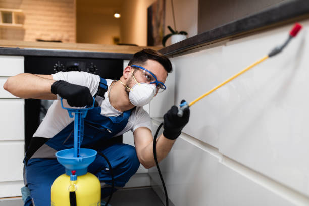 Best Residential Pest Control  in Holcom, KS