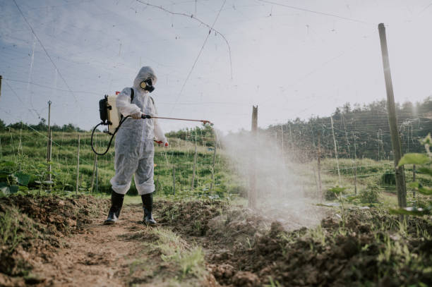 Best Local Pest Control Services  in Holcom, KS