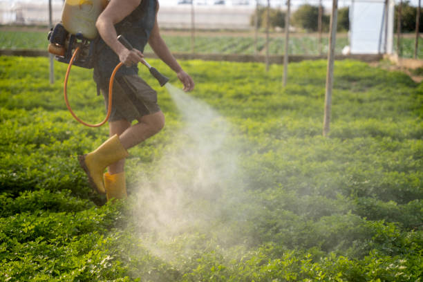 Best Pest Control Near Me  in Holcom, KS