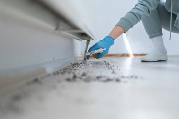 Best Affordable Pest Control Services  in Holcom, KS