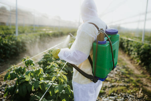 Best Flea Control Services  in Holcom, KS